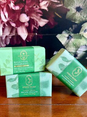 NEW 3-Pc EUCALYPTUS SPEARMINT Stress Relief Cleansing Bars by BBW